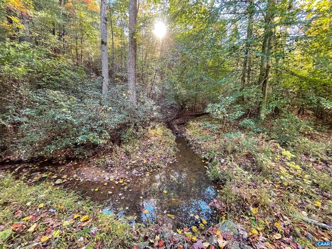 0 Garland Ln, Home with 0 bedrooms, 0 bathrooms and null parking in CHARLOTTESVILLE VA | Image 20