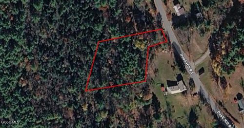 L12 Duell Hill Rd, Brant Lake, NY, 12815 | Card Image