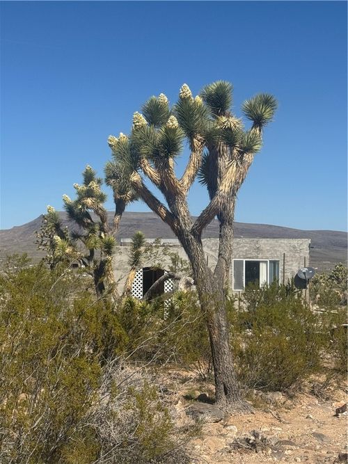 5789 17th Street, Dolan Springs, AZ, 86441 | Card Image