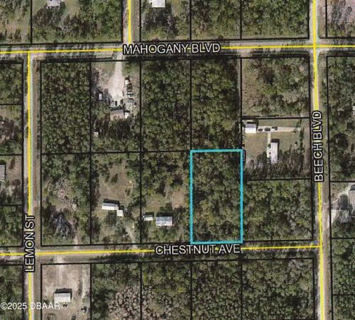 5540 Chestnut Ave, Bunnell, FL, 32110-6698 | Card Image