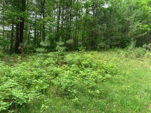 Lot 9 Somo Dam Dr, Tomahawk, WI, 54487-9021 | Card Image