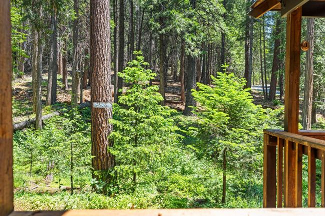 4589 Jenkinson Circle, House other with 3 bedrooms, 3 bathrooms and null parking in Pollock Pines CA | Image 31
