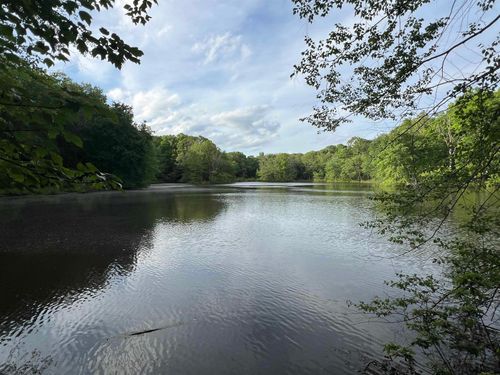 00 County Road 14, Waterloo, AL, 35677 | Card Image