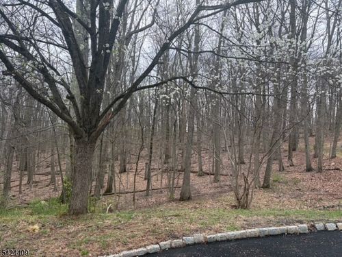 14 Cathy Ln, Flanders, NJ, 07836-9640 | Card Image