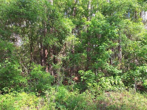 Lot 38 Ne 512th St, Old Town, FL, 32680-3815 | Card Image