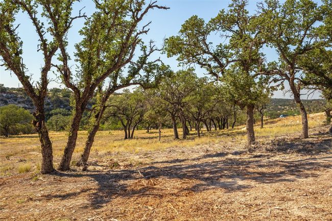20 Seven Spring Drive, Home with 0 bedrooms, 0 bathrooms and null parking in Junction TX | Image 19