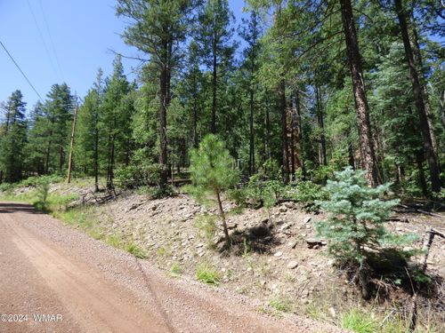 9 County Road 2073, Alpine, AZ, 85920 | Card Image