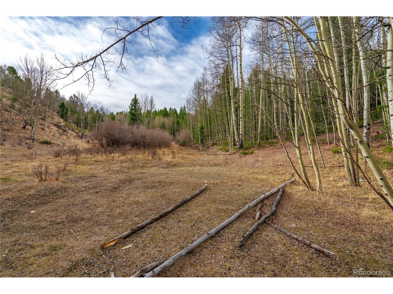 Land in Cripple Creek 2