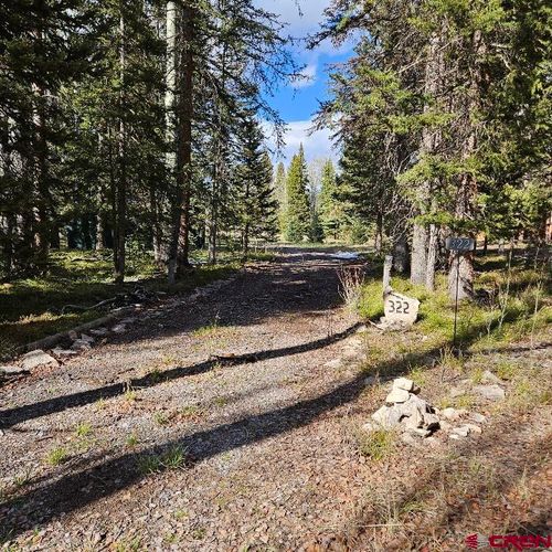 322 Spruce Rd, Cimarron, CO, 81220-9509 | Card Image
