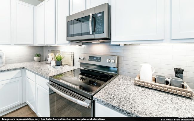 8908 Grey Elm, House other with 3 bedrooms, 2 bathrooms and null parking in Elmendorf TX | Image 8