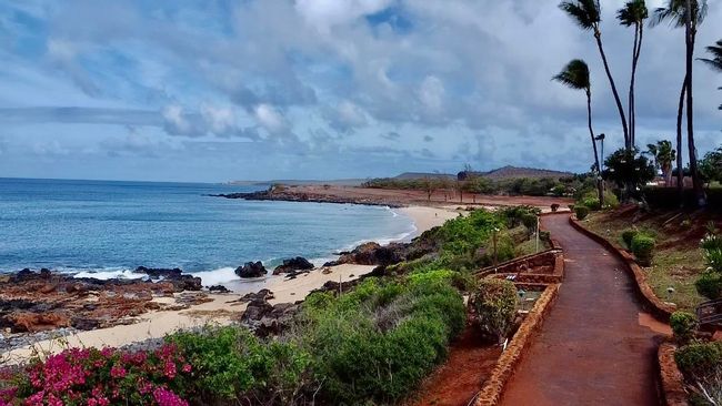 12B061226 - 255 Kepuhi Pl, Condo with 0 bedrooms, 1 bathrooms and null parking in Maunaloa HI | Image 17