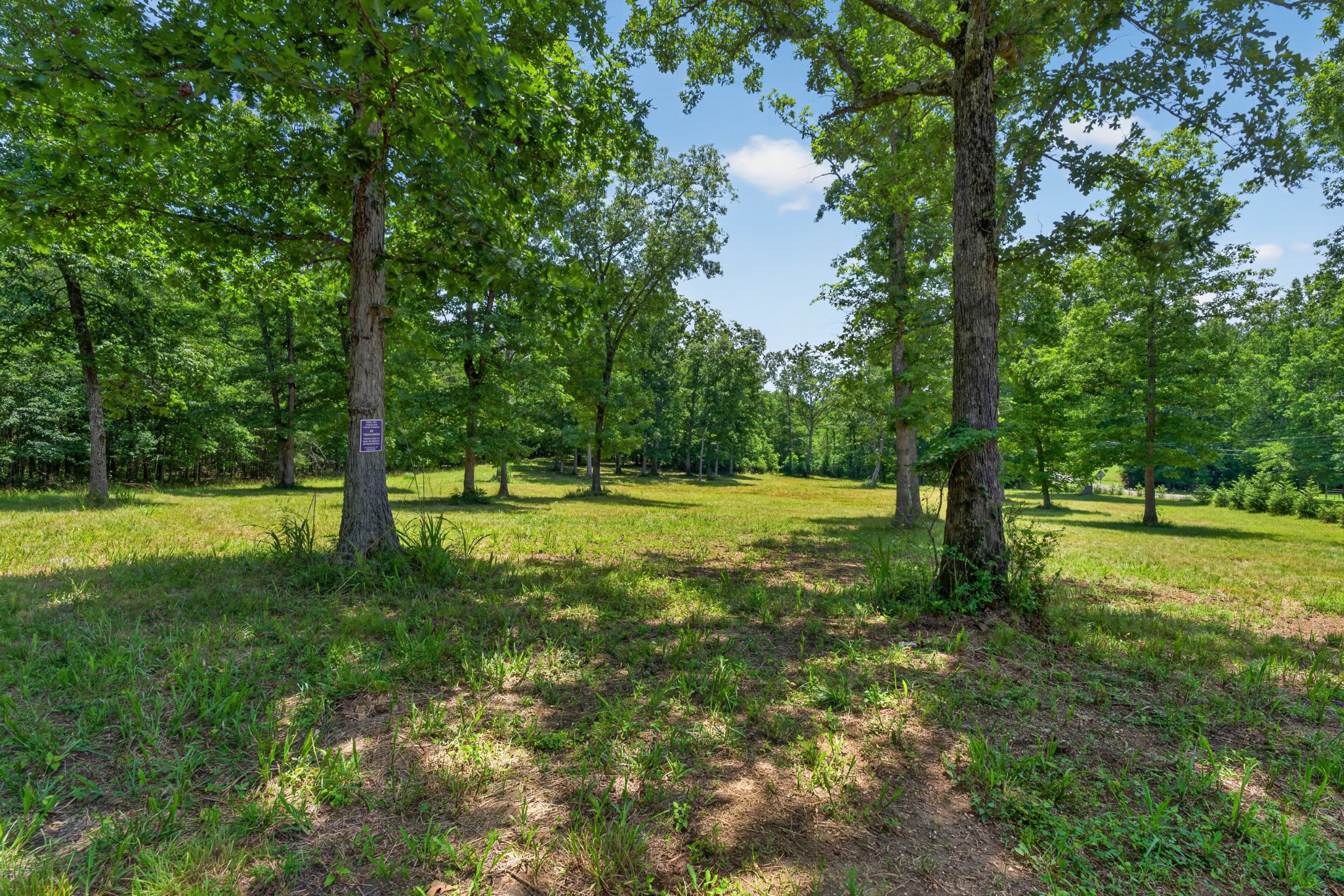 Land in Monteagle