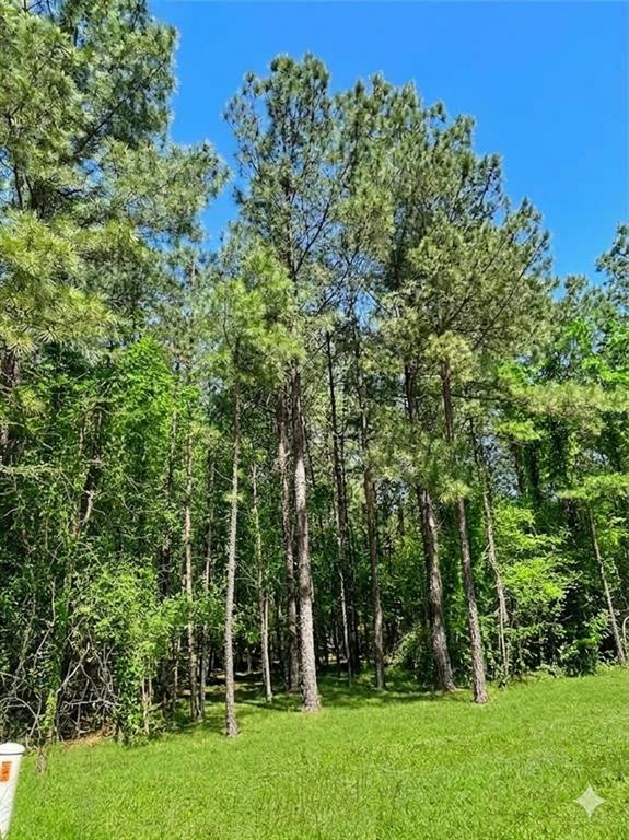Land in Broken Bow 2