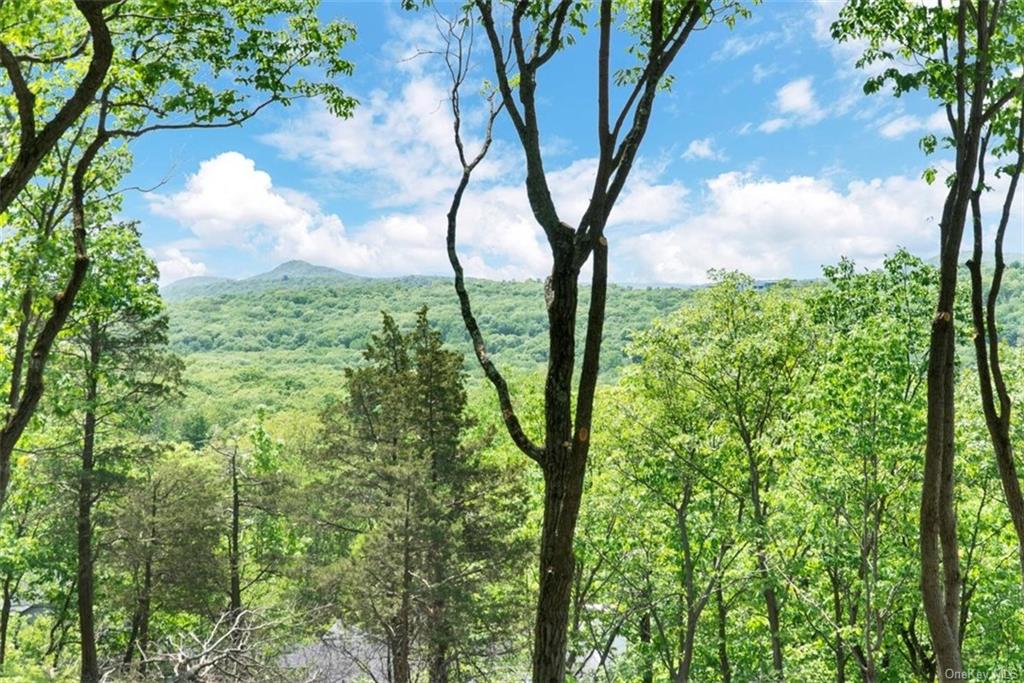 Seven Springs Mountain Rd, Monroe, NY 10950