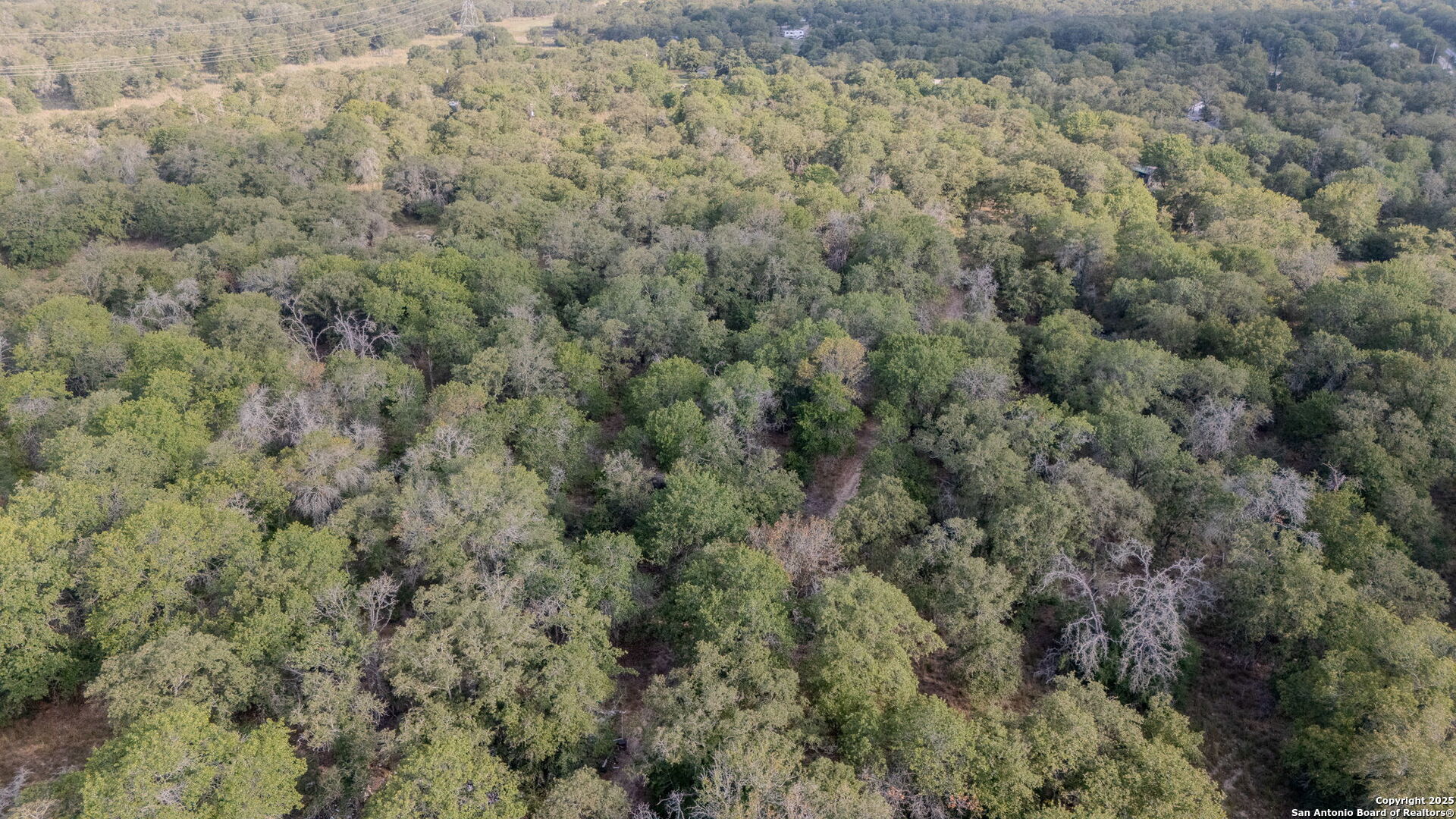 Land in Seguin 4