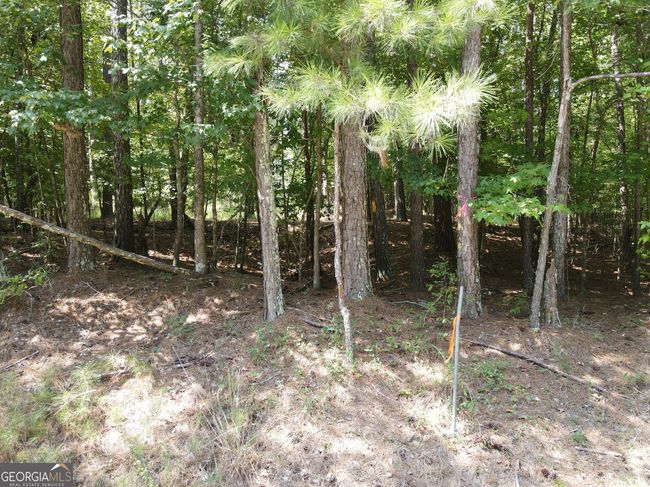 LOTT 22 Apalachee Woods Dr, Home with 0 bedrooms, 0 bathrooms and null parking in Buckhead GA | Image 4