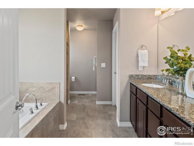 Primary Bathroom | Image 15
