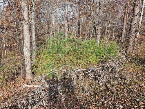 Lts 29/30 Smyrna Heights Road, Evensville, TN, 37332 | Card Image