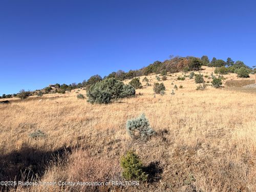 Lot 86 Antler Dr, Alto, NM, 88312 | Card Image