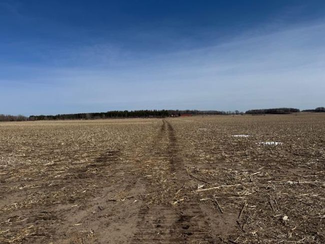 0000 County Road 61, Home with 0 bedrooms, 0 bathrooms and null parking in Browerville MN | Image 32