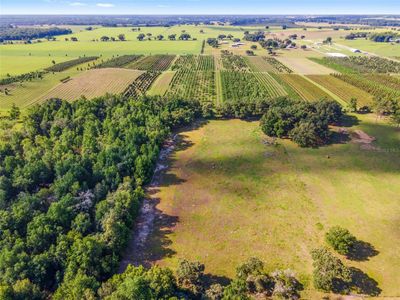 Open grazing acreage at rear of property. | Image 2