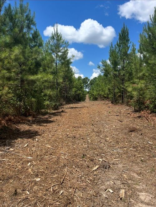 10343 Private Road 8012, Bronson, TX, 75930 | Card Image