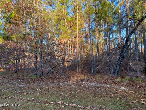 0 Oak Ridge Dr, Butler, GA, 31006 | Card Image