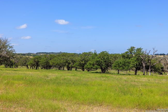 2250 Otte Rd, Home with 2 bedrooms, 2 bathrooms and null parking in Stonewall TX | Image 24