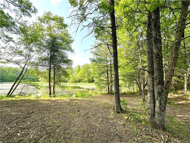 16 295th Street, Home with 0 bedrooms, 0 bathrooms and null parking in Holcombe WI | Image 8