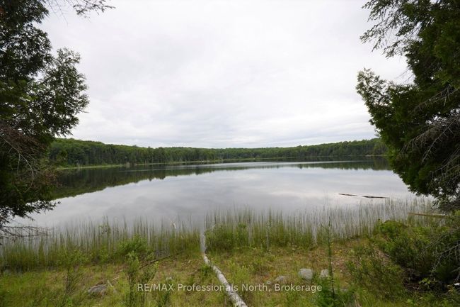 0 Harburn Rd, Home with 0 bedrooms, 0 bathrooms and null parking in Haliburton ON | Image 23