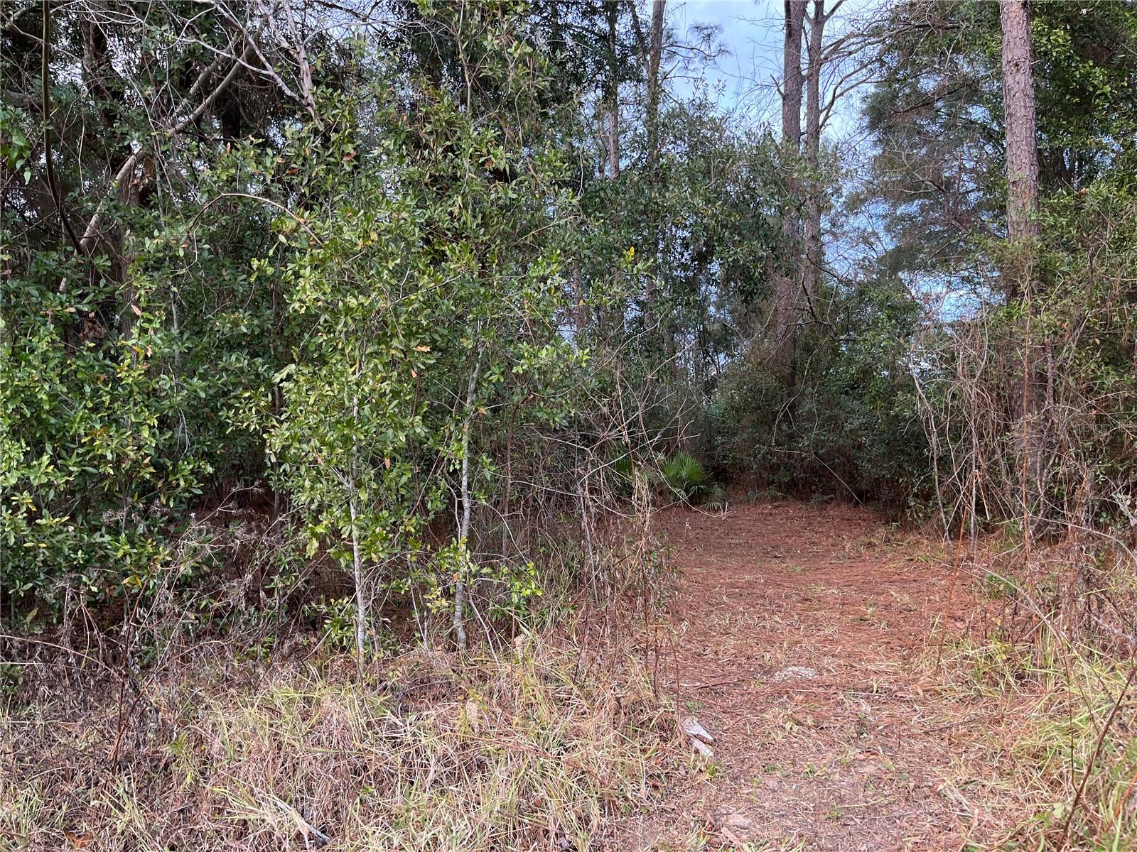 Land in OCALA 2