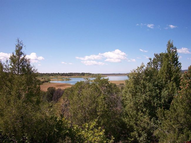 13989 Road 35.6, Home with 0 bedrooms, 0 bathrooms and null parking in Mancos CO | Image 11