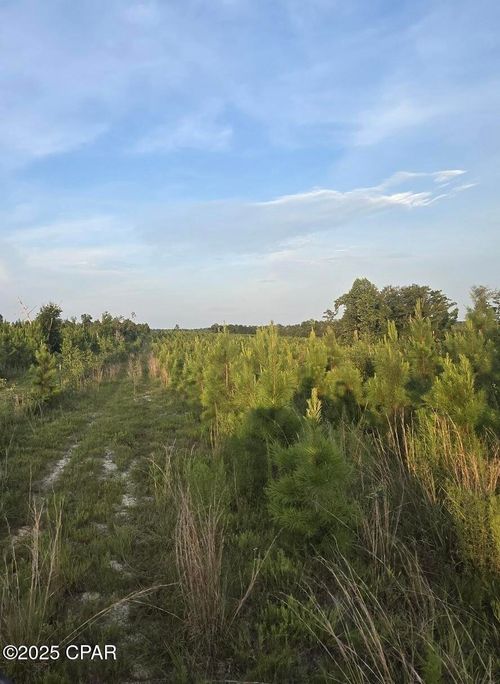 0 Bartlett Rd, Marianna, FL, 32448 | Card Image