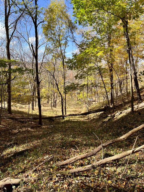 2 Culberson Ln, Mountain City, TN, 37683 | Card Image