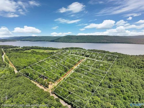 Lot 26 2.2Acres Durham Road, Langston, AL, 35755 | Card Image
