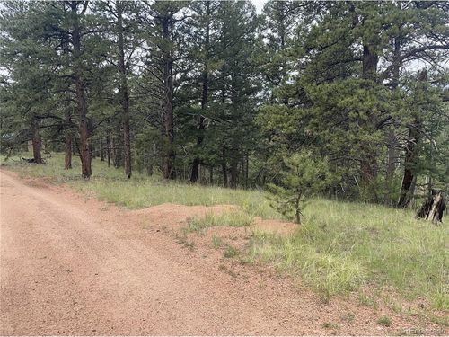 452 Wilson Dr, Florissant, CO, 80816-9563 | Card Image