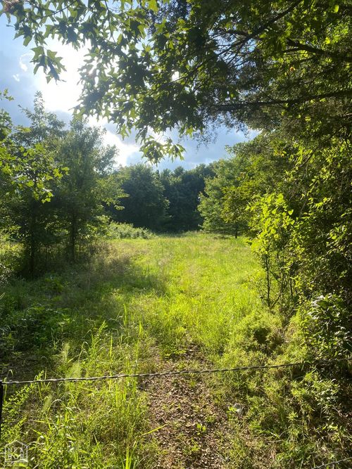 1234 S Locust St, Newark, AR, 72562 | Card Image