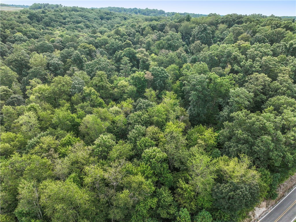 Farm in Chippewa Twp 5