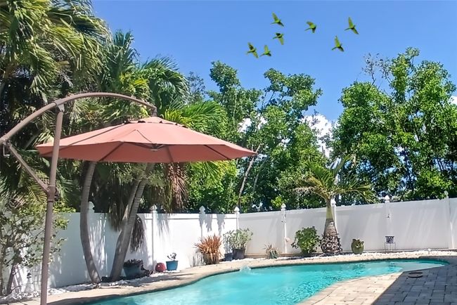 Pool and Rear Yard | Image 19