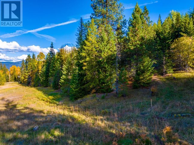 Lot 1 Corn Creek Rd, Home with 0 bedrooms, 0 bathrooms and null parking in Creston BC | Image 10