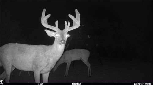 1078 County Road 498, Goldsboro, TX, 79519-2015 | Card Image