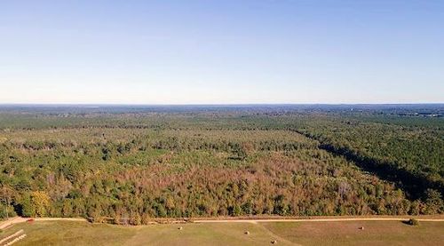 0 Little River 43, Ashdown, AR, 71822 | Card Image