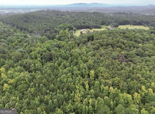 lot-1-0 Hopeful Rd, Munford, AL, 36268 | Card Image