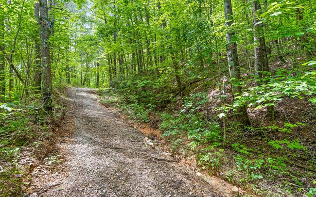 0 E Brow Rd, Home with 0 bedrooms, 0 bathrooms and null parking in Signal Mountain TN | Image 12