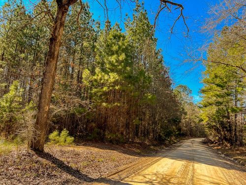 6 Union Springs Rd, Corrigan, TX, 75939 | Card Image