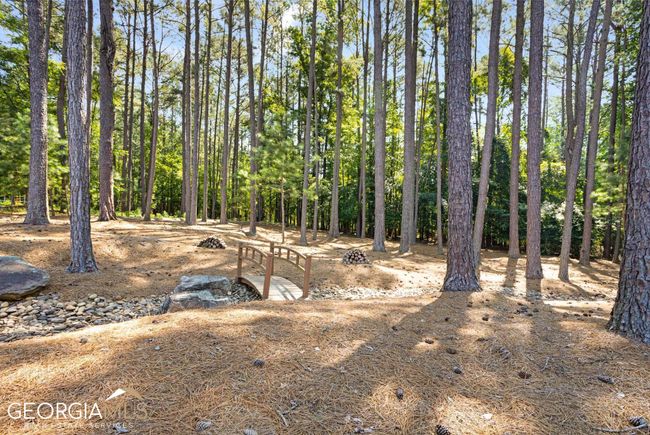 350 Highgrove Dr, House other with 6 bedrooms, 6 bathrooms and 3 parking in Fayetteville GA | Image 66