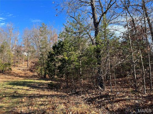 0 Amy Ct, Bonne Terre, MO, 63628 | Card Image