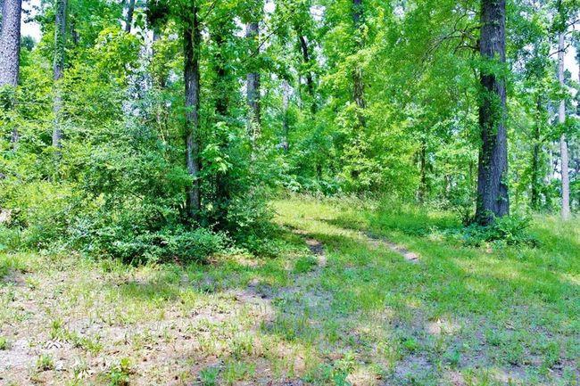 695 Lake Shore Dr, Home with 0 bedrooms, 0 bathrooms and null parking in Coldspring TX | Image 16