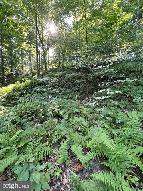 1 Laurel Ridge Ln, Wilmington, DE, 19807-1322 | Card Image