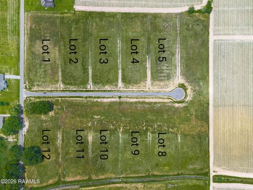 3907 Belle Pl, Maurice, LA, 70555 | Card Image